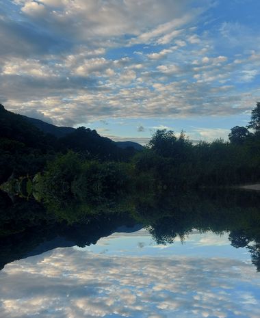 sepulveda.y.96 en Hamelin: Flora  (Zona Bananera), #catatumbocolombia#Agua