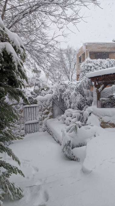 Anaortega2010 en Hamelin: Paisaje  (Las Rozas de Madrid), #invierno20 #nevada2021 #bellezasdelanaturaleza #destruccion 