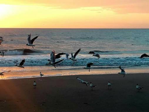 Rociokrivero en Hamelin: Paisaje  (Villa Gesell), #villagesell