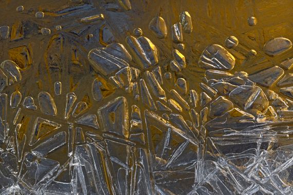 Ignicapillus en Hamelin: Paisaje  (les Llosses), Hielo dorado

A finales de enero del año 2023 peiné el río Ter y la riera de Vallfogona que en él desemboc...