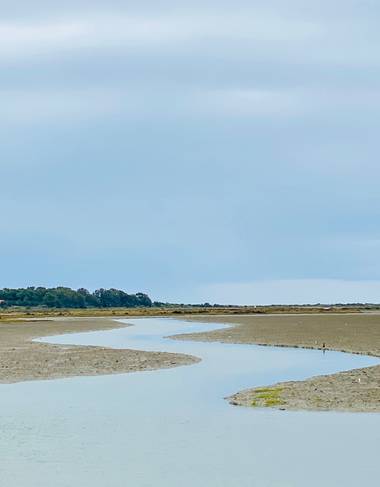su en Hamelin: Paisaje  (Cádiz), Cádiz - San Fernando 