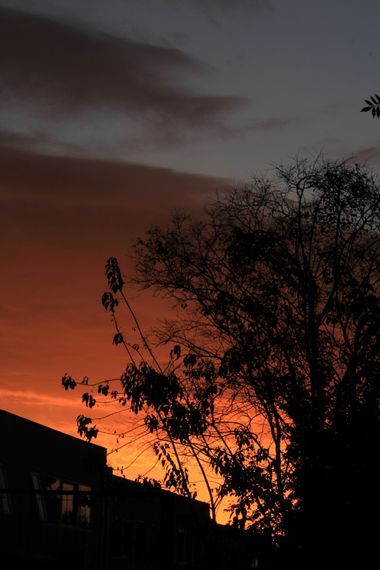 XxPrOzMeNxX en Hamelin: Paisaje, #sky #arbol #atardecer #baum #branches #casas #cielo #clouds #fotografia #fotografie #himmel #home #nubes #phothograph #r...