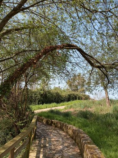 Alquimia Natural en Hamelin: Paisaje  (Marina de Cudeyo), Puentes 💕