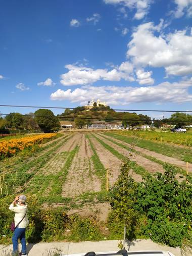 Daymartinezz2000 en Hamelin: Paisaje, #naturaleza