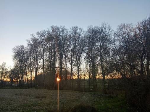 Marimer1512 en Hamelin: Paisaje  (El Piñero), Atardeceres orinales #otoño20