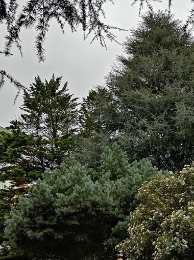 Susandresro en Hamelin: Paisaje  (Lugo), Parque Frigsa. Lugo