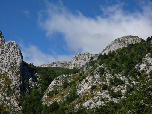 mariale en Hamelin: Paisaje  (Caso), 📸 #marialemdza
💚 🌿🌸🌿💚
#CumpleHamelin
#Naturaleza #BellezaNatural #paisaje 
#Asturias  #Montaña #forest #bosque #...