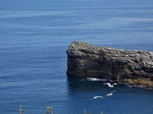 mariale en Hamelin: Paisaje  (Gijón), 📸 #marialemdza 
Senda del Cervigón, Gijón. 
Islote Tortuga 🐢 
#CumpleHamelin #Asturias #norte #NorteDeEspaña #Españ...