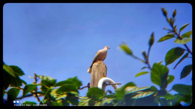 STEPHANIE 📸 en Hamelin: Fauna, .
.
.
.
.
#photography #photooftheday #travelphotography #photographer #naturephotography #streetphotography #instaphoto #...