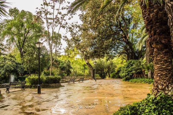 ramosbarbero.jm en Hamelin: Paisaje, #paisajesyjardines  en sevilla, parque maria luisa en un dia lluvioso
