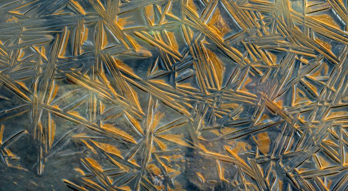 Ignicapillus en Hamelin: Paisaje  (Montesquiu), Estampado de hielo

Foto realizada en enero del 2022 en la Farga de Bebié (inmediato sur de Ripoll), os pre...