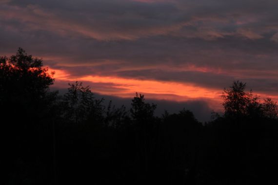 XxPrOzMeNxX en Hamelin: Paisaje, #anaranjado #arboles #atardecer #bäume #chile #clouds #darkness #dunkelheit #natur #naturaleza #nature #nubes #orange #os...