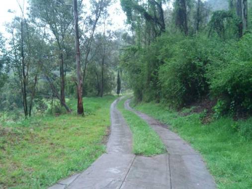 David_947 en Hamelin: Paisaje  (Xochimilco)