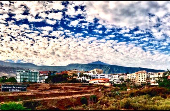 Juanatlantida82 en Hamelin: Paisaje, Valle de la Orotava 
