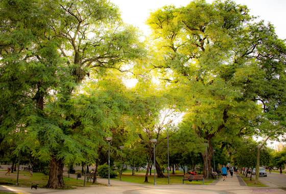 Greta franco beguan en Hamelin: Paisaje  (Resistencia), #Photos #Pictures 
#Photography 
#Fotografias
 #Photographs 
#Naturaleza 
#Nature #Natural 
#Photog...
