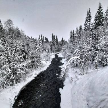 Ezetisdag en Hamelin: Paisaje  (Sälen), Dark water.

#tandådalen
#lindvallen 
#sälfjällstorget 
#sälen
#dalarna 
#sweden 
#invierno20 