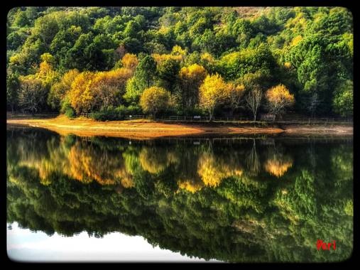 Smperi555 en Hamelin: Paisaje, Reflejos, colores, otoño, Castilla y León.