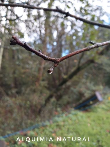 Alquimia Natural en Hamelin: Paisaje  (Sopuerta), #otoño2022 #noviembre2022 