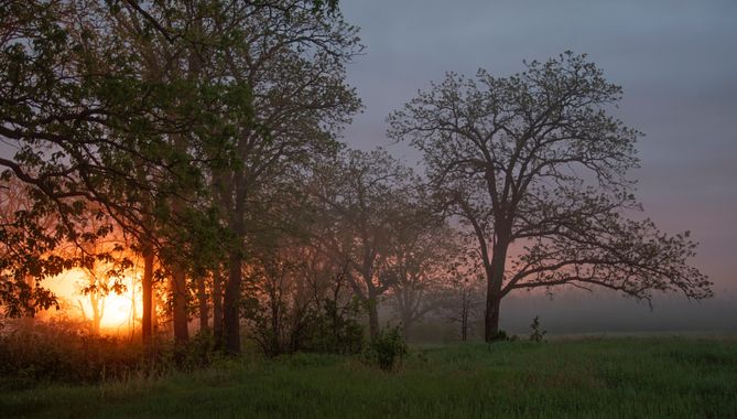 Ignicapillus en Hamelin: Paisaje  (Sherburne County), Amanecer en la Sheburne NWR

En mis viajes, no tengo suerte con los paisajes. Es rarísimo que se den ...