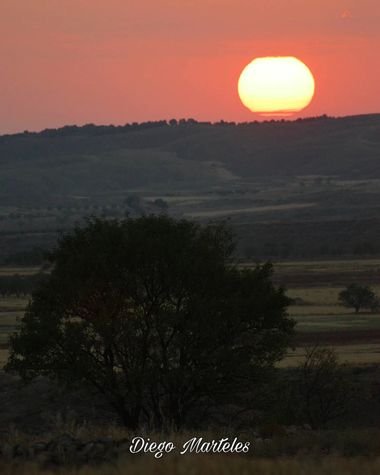 Diego en Hamelin: Paisaje  (Plenas), #canon #canonphotography #amanecer #sunrise #paisaje #landscape #sol #sun #cielo #sky #rural #aragon 