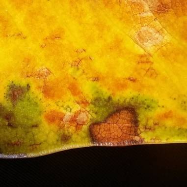 Manelsersol en Hamelin: Flora  (Olot), #hojasamarillas #Naturaleza #Macro #macrofotografia21 #Landscape