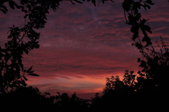 XxPrOzMeNxX en Hamelin: Paisaje, #nocturna #nocturnos #rural #rurales #nubes #rojo #cielo #arboles #sombras #atardecer #santiago #chile 
