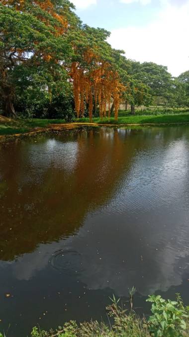 mauricioverbel28 en Hamelin: Paisaje  (Tolú Viejo), #paisajescolombianos 