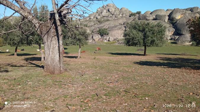 GreenPhoto en Hamelin: Paisaje 