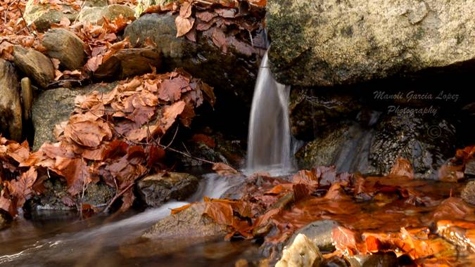 Logarma en Hamelin: Paisaje  (Sant Pere de Vilamajor)