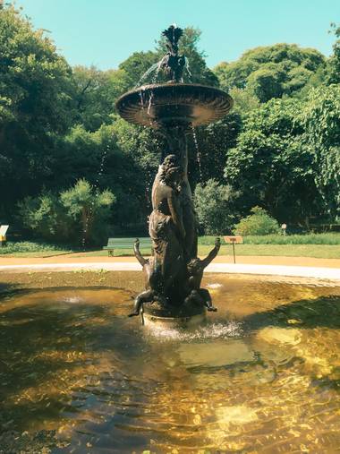 camila.loffreda en Hamelin: Paisaje  (Argentina), Jardín botánico.
Buenos Aires, Argentina.