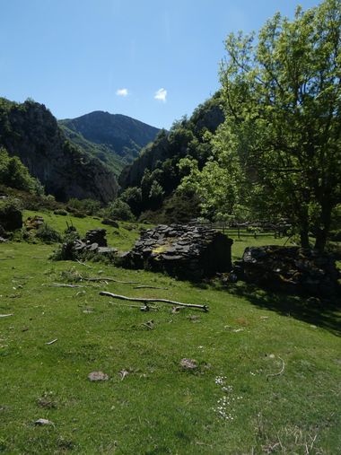 mariale en Hamelin: Paisaje  (Caso), 📸 #marialemdza
💚 🌿🌸🌿💚
#CumpleHamelin
#Naturaleza #BellezaNatural #paisaje 
#Asturias  #Montaña #forest #bosque #...