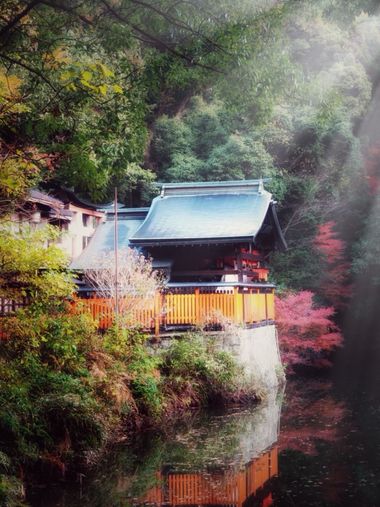 Henar en Hamelin: Paisaje  (Manjuji-dori), #kioto #japon #paisaje #viajes #hamelin 