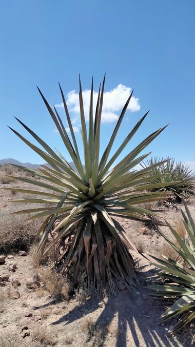 Solerantonio2 en Hamelin: Paisaje  (Níjar), Paisaje natural del cabo de gata