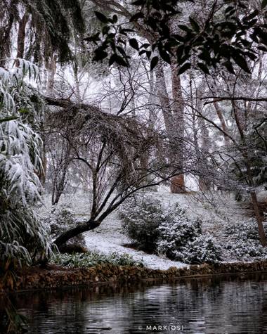 MARK(OS) - Mis fotos de Madrid en Hamelin: Paisaje  (Madrid), The Warmest Coldness. (IV)

#invierno20 #invierno #winter #frio #coldness #nieve #snow #parqu...