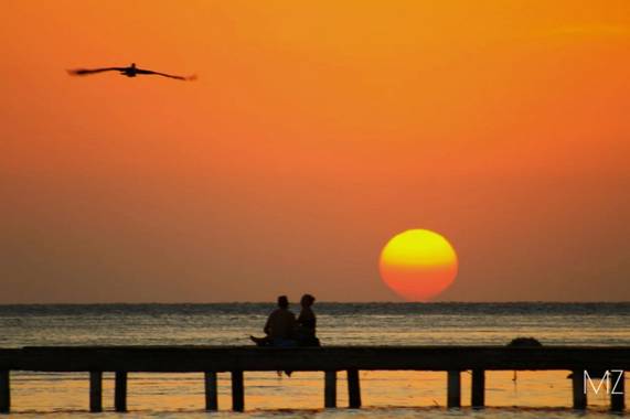 Zuffo.mariana en Hamelin: Fauna  (Cahuita), #paisaje #sunset #atardecer