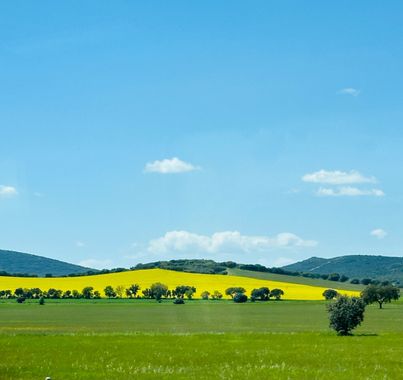 su en Hamelin: Paisaje  (Los Yébenes), #paisaje 