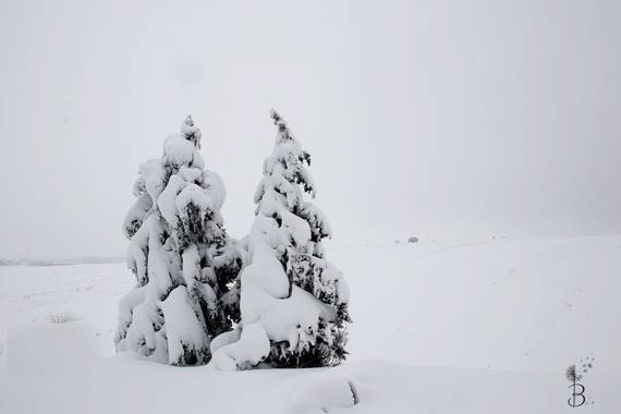Conbyconv en Hamelin: Paisaje  (Fuenlabrada), #paisaje20  #invierno20