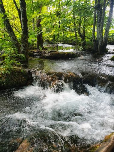 Eva.160968 en Hamelin: Paisaje  (Plitvička jezera), #paisaje 