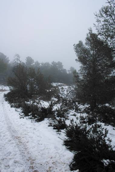Yai_22 en Hamelin: Paisaje  (Alcoy), #invierno20 