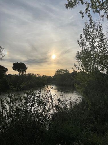 Ektorzin en Hamelin: Paisaje  (Las Navas del Marqués), #lago 