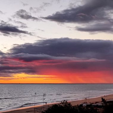 Maribel en Hamelin: Paisaje  (Huelva), Lluvia rosa 💖
 #mazagon 