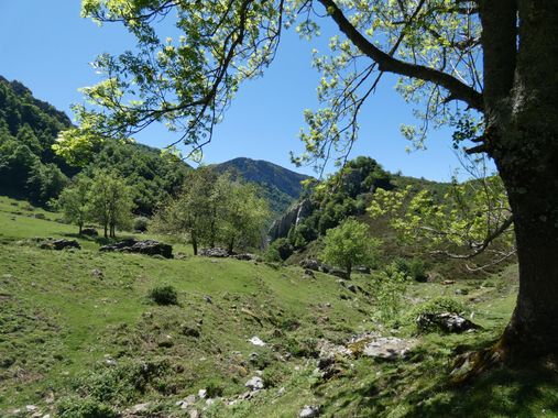 mariale en Hamelin: Paisaje  (Caso), 📸 #marialemdza
💚 🌿🌸🌿💚
#CumpleHamelin
#Naturaleza #BellezaNatural #paisaje 
#Asturias  #Montaña #forest #bosque #...