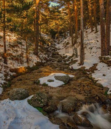 fdhphotos en Hamelin: Paisaje  (Cercedilla), #nieve#seda