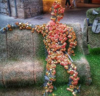 Manelsersol en Hamelin: Flora  (Gerona), #Portrait #Flora #Flores #Naturaleza 

La figura floral.