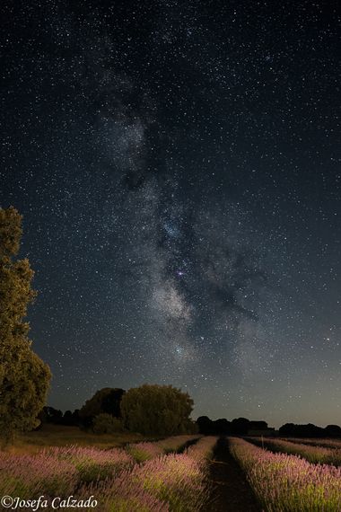 Josefacalzado en Hamelin: Paisaje  (Brihuega), Tiempo de estrellas, tiempo de Vía Láctea.
#vialactea #milikyway #stars #estrellas #noche #nochesdeverano #l...