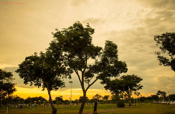 Greta franco beguan en Hamelin: Paisaje  (Resistencia), #paisajesnaturales 
#Photography #Fotos #Arte 
#Art #Artista #artistico 
#artistic #artist #Fotogra...