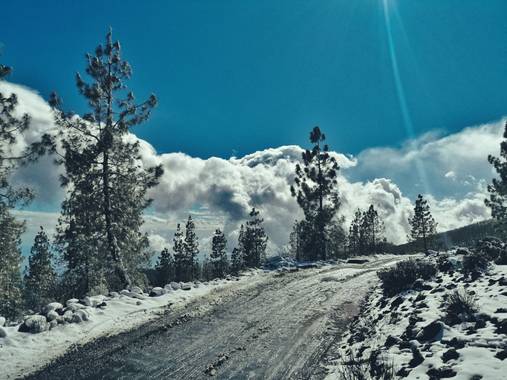 Nereacristina.sanchez en Hamelin: Paisaje  (Arico), Una bonita estampa blanca por el paso de Filomena en Tenerife
#invierno20 