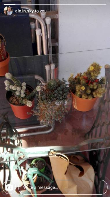 Martin.belinsky89 en Hamelin: Flora, #Flora21
