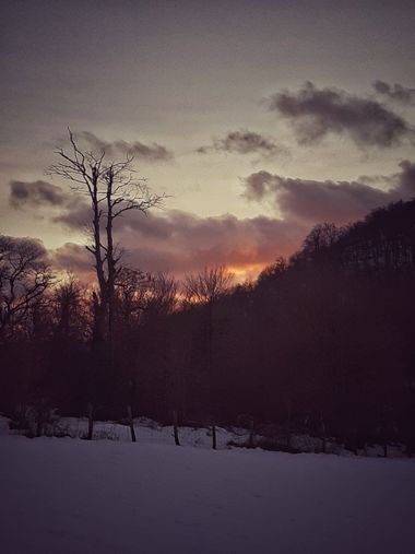 Urtzene en Hamelin: Paisaje  (Lekunberri), #larraun 