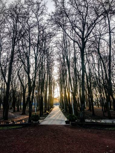 Conbyconv en Hamelin: Paisaje  (Pukhavitski rayon), #parquesyjardines 